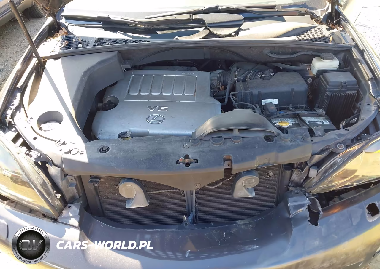 2009 Lexus Rx 350 VIN:2T2HK31U89C131630 - 10