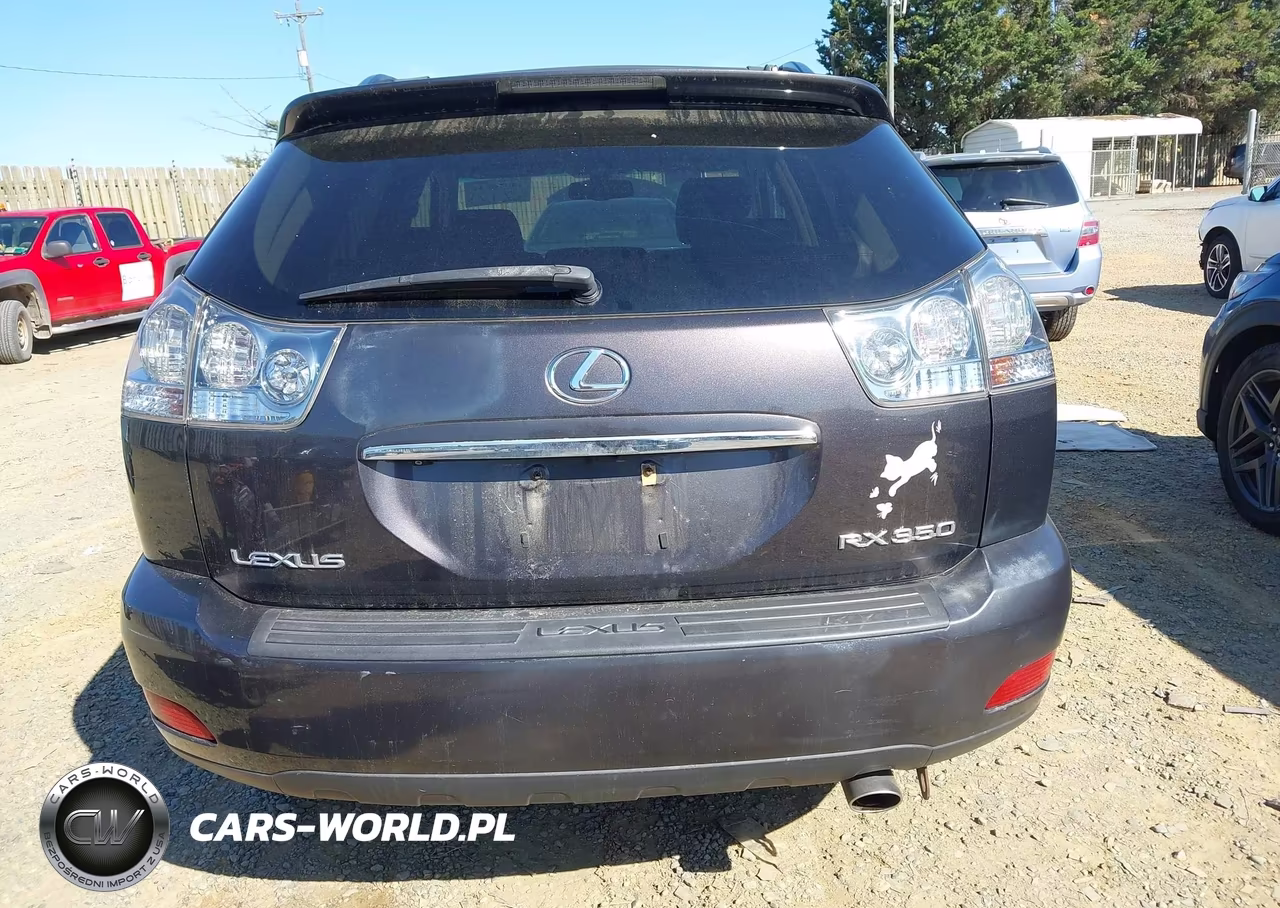 2009 Lexus Rx 350 VIN:2T2HK31U89C131630 - 16