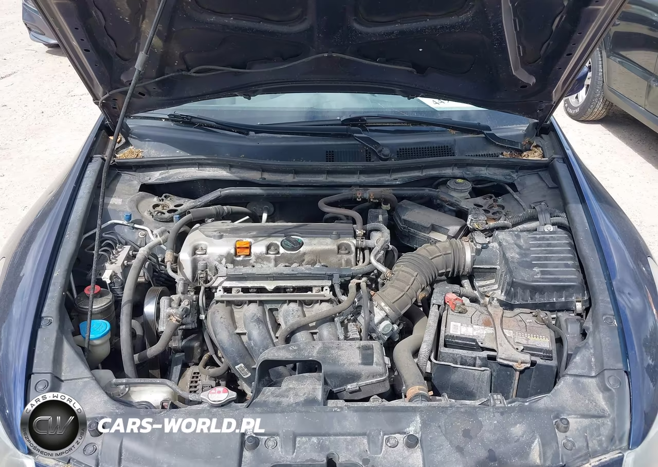 2010 Honda Accord 2.4 Ex VIN:1HGCP2F79AA023363 - 10
