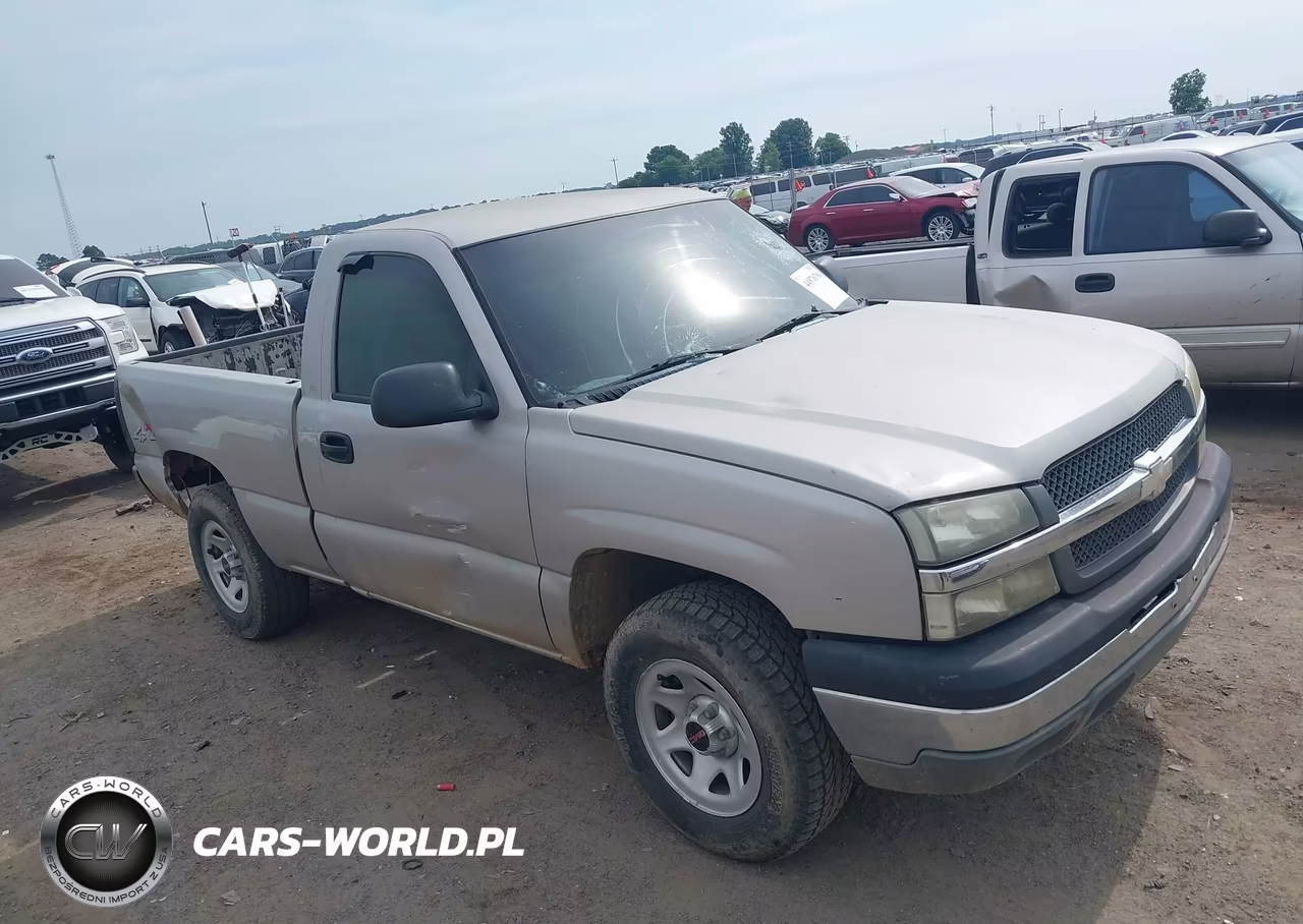 2005 Chevrolet Silverado 1500 Work Truck VIN:1GCEK14VX5Z177900 - 19