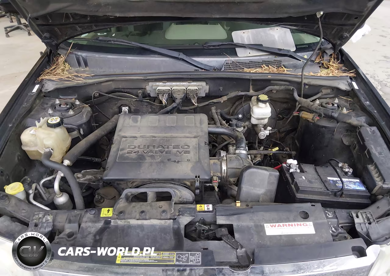 2009 Ford Escape Xlt VIN:1FMCU93G89KA50818 - 10