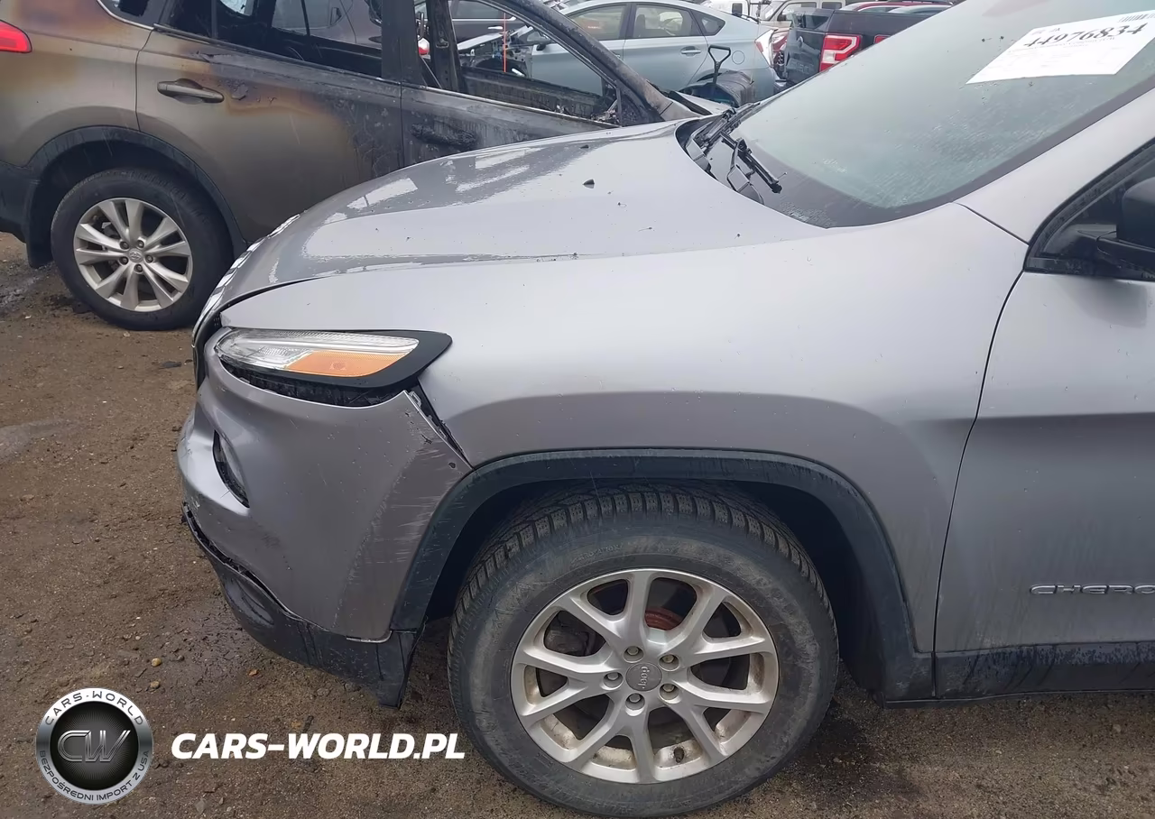 2014 Jeep Cherokee Sport VIN:1C4PJLAB2EW109965 - 12