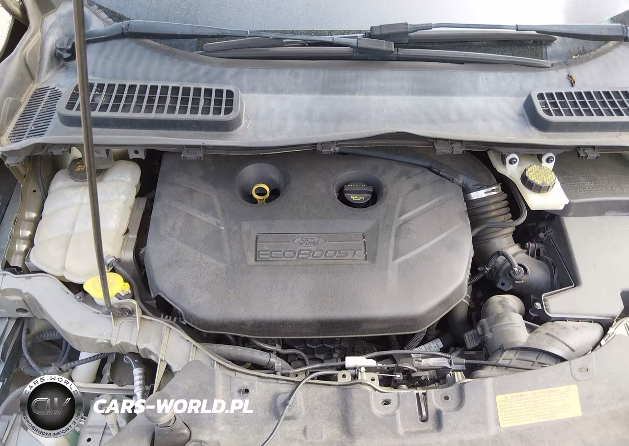 2014 Ford Escape Se VIN:1FMCU9G97EUA76420 - 10