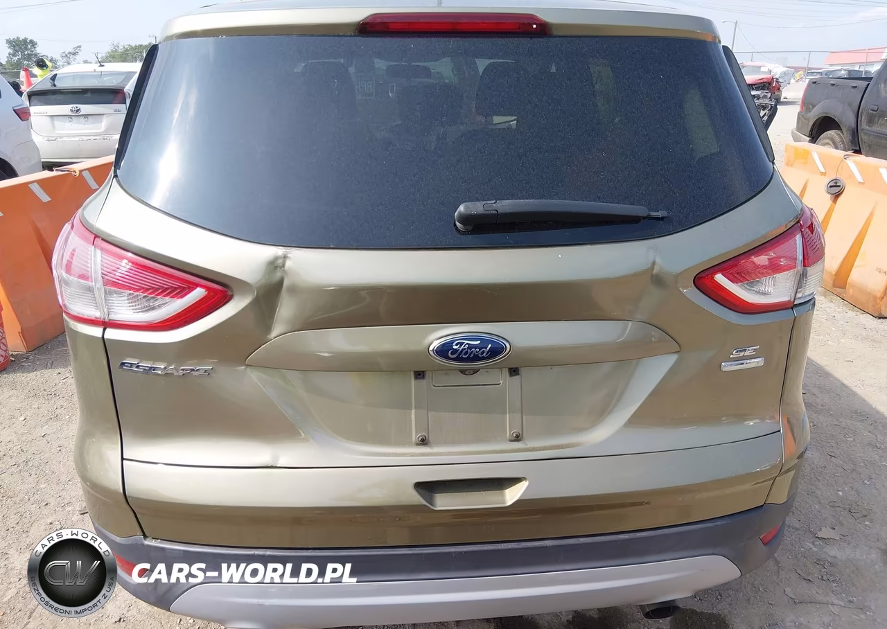 2014 Ford Escape Se VIN:1FMCU9G97EUA76420 - 17