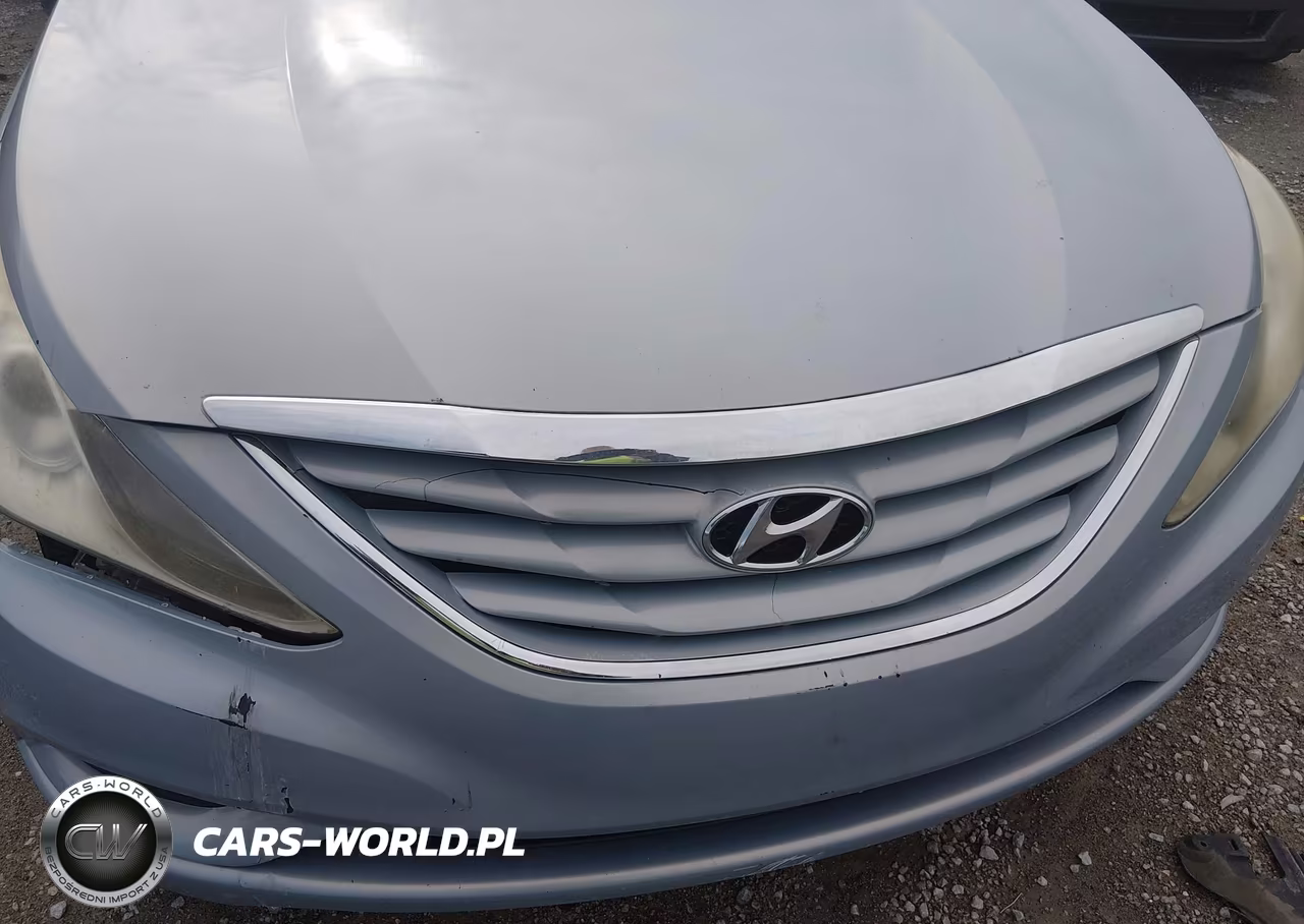 2011 Hyundai Sonata Gls VIN:5NPEB4AC0BH122363 - 12