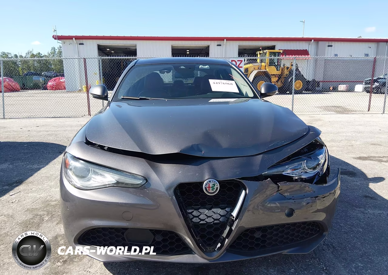 2019 Alfa Romeo Giulia Ti Awd VIN:ZARFANBN6K7603189 - 12