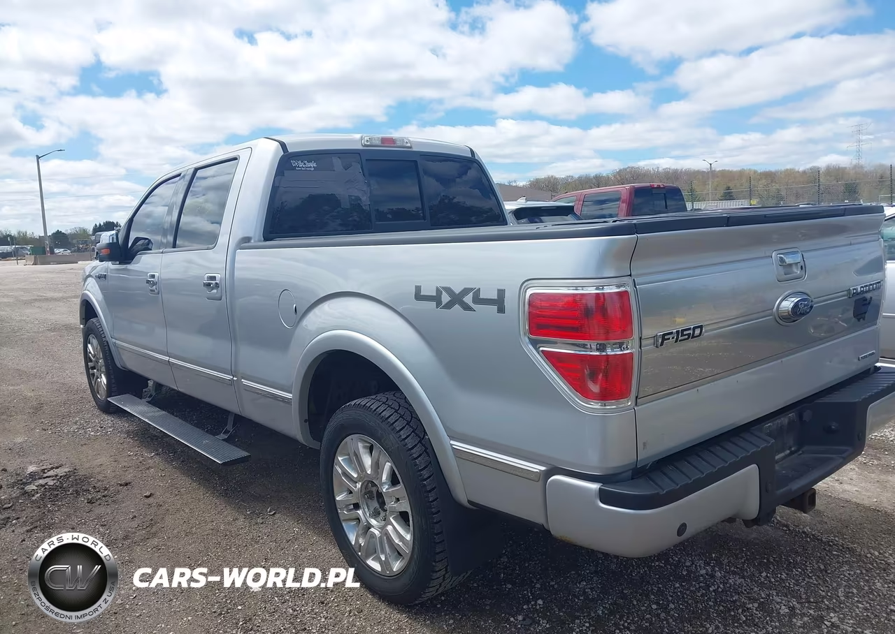 2011 Ford F-150 Platinum VIN:1FTFW1EF4BFB61060 - 3