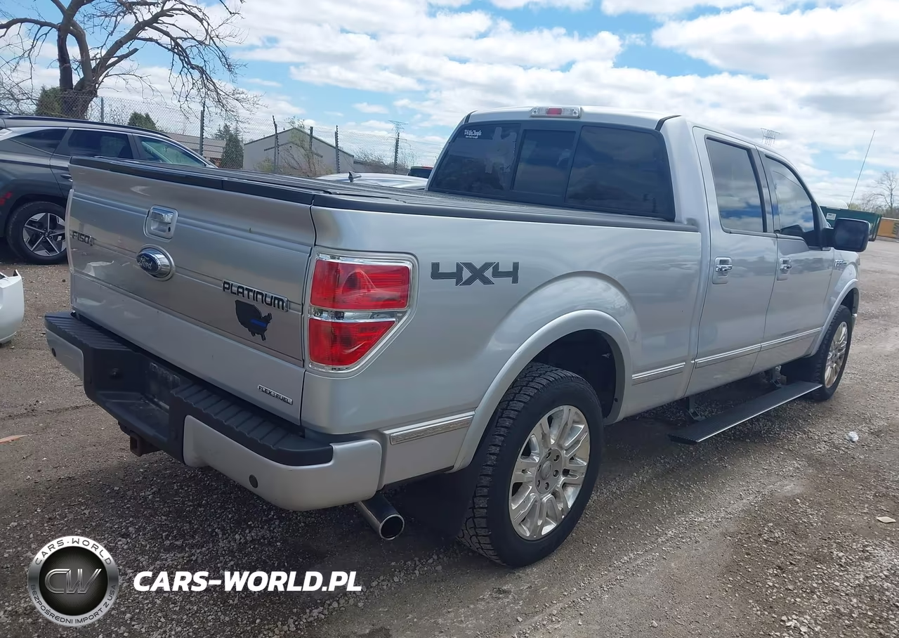 2011 Ford F-150 Platinum VIN:1FTFW1EF4BFB61060 - 4