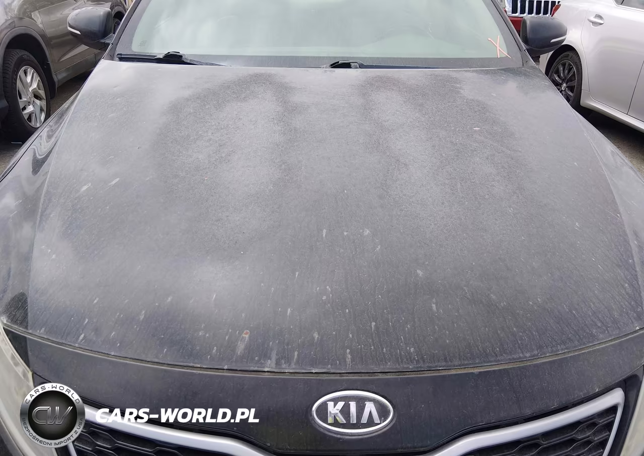 2012 Kia Optima Hybrid Ex VIN:KNAGM4AD0C5009894 - 6