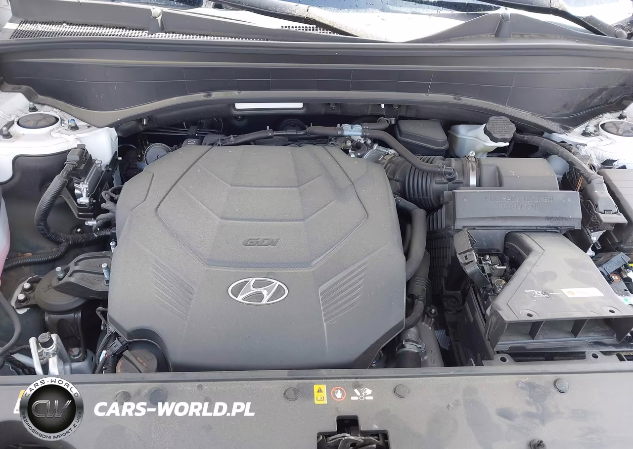 2025 Hyundai Palisade Sel VIN:KM8R2DGE3SU949866 - 10