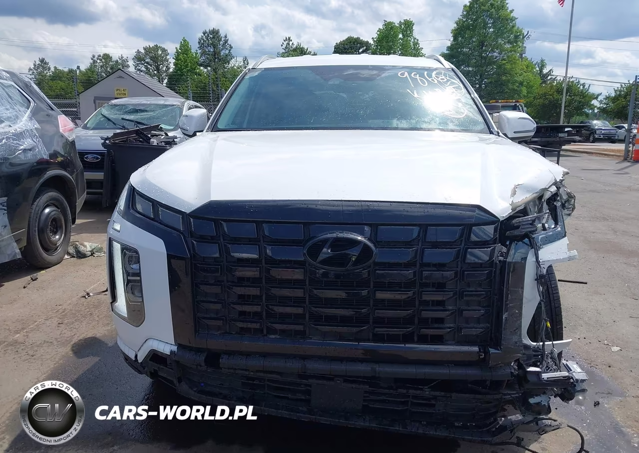 2025 Hyundai Palisade Sel VIN:KM8R2DGE3SU949866 - 12