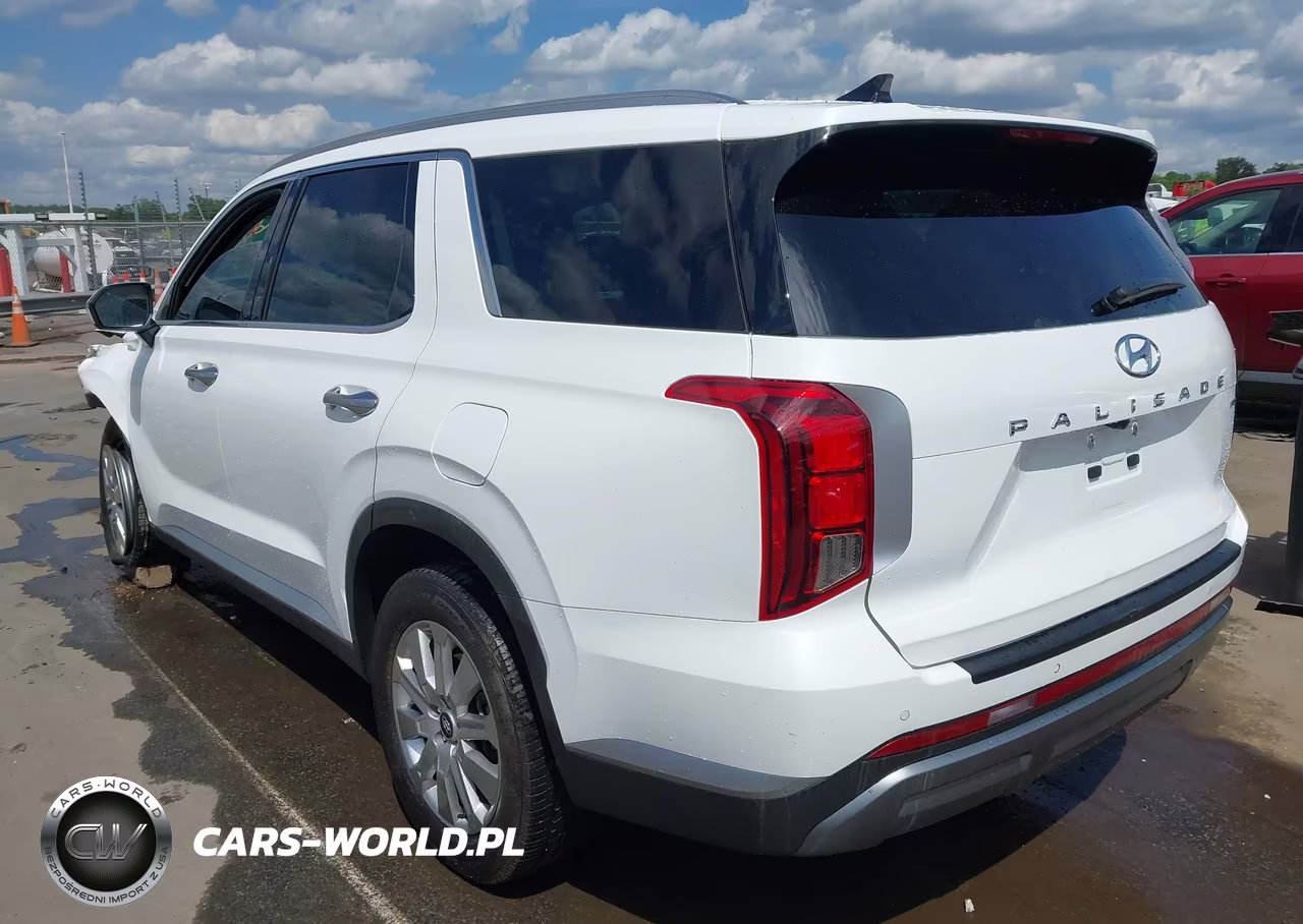 2025 Hyundai Palisade Sel VIN:KM8R2DGE3SU949866 - 3