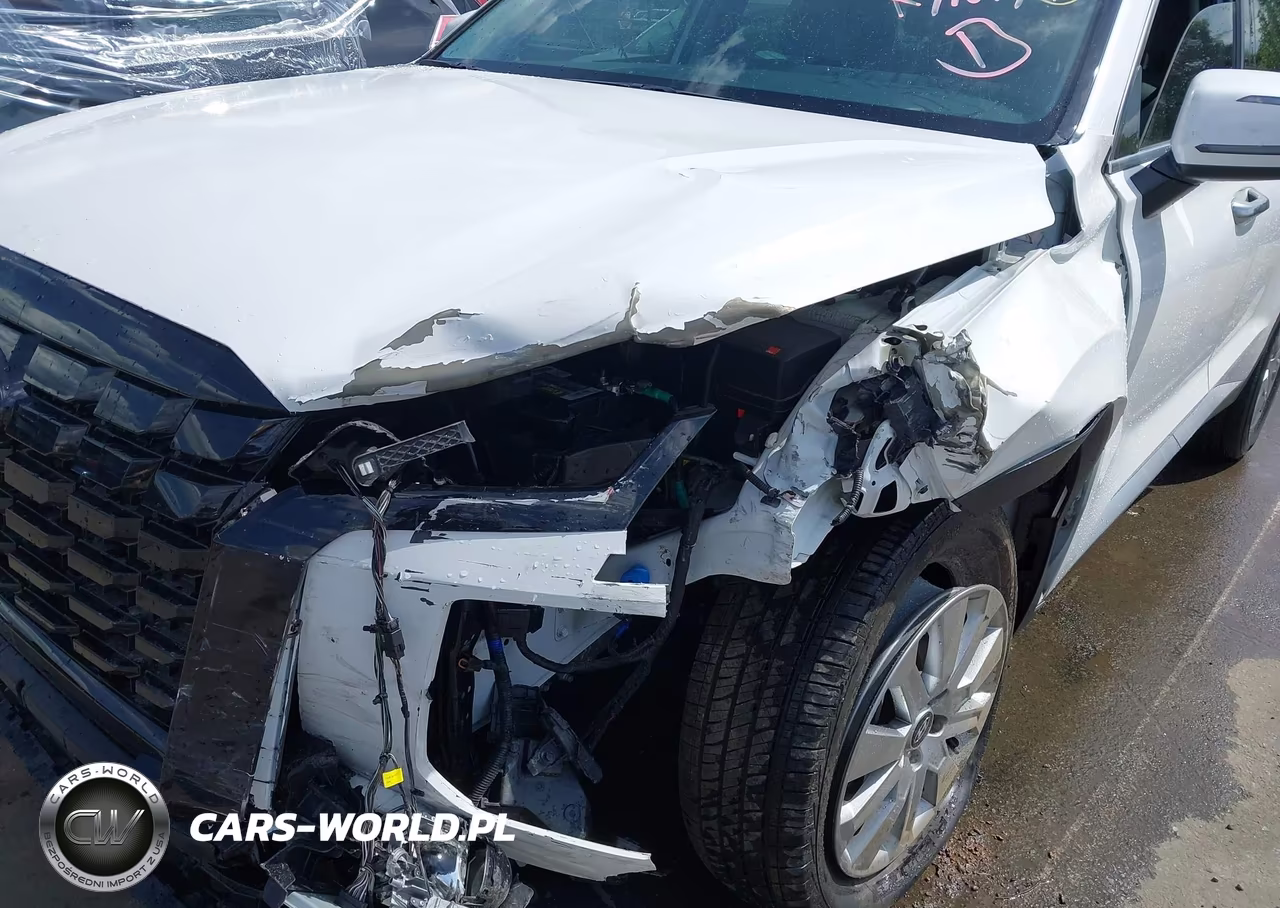 2025 Hyundai Palisade Sel VIN:KM8R2DGE3SU949866 - 6