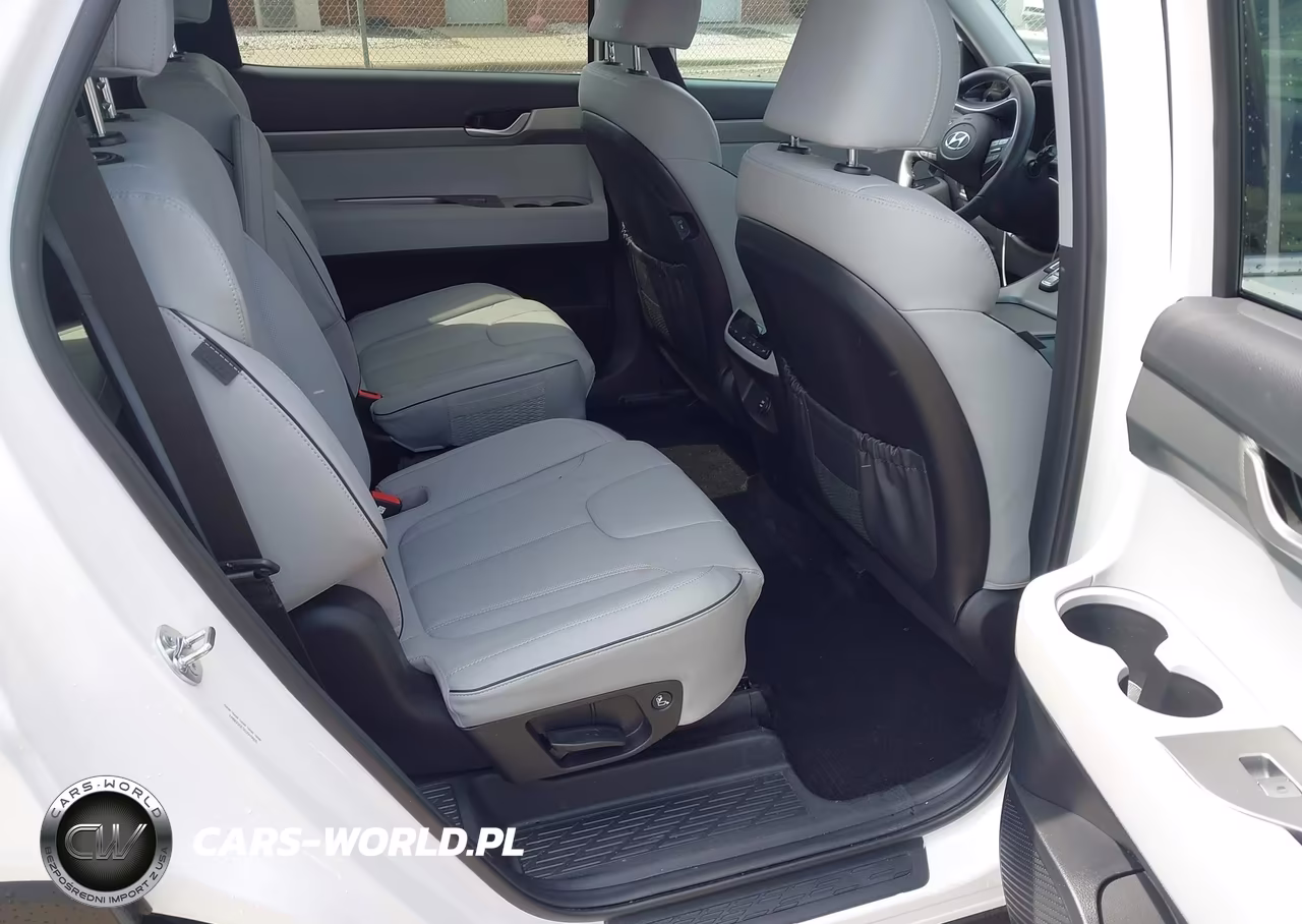 2025 Hyundai Palisade Sel VIN:KM8R2DGE3SU949866 - 8