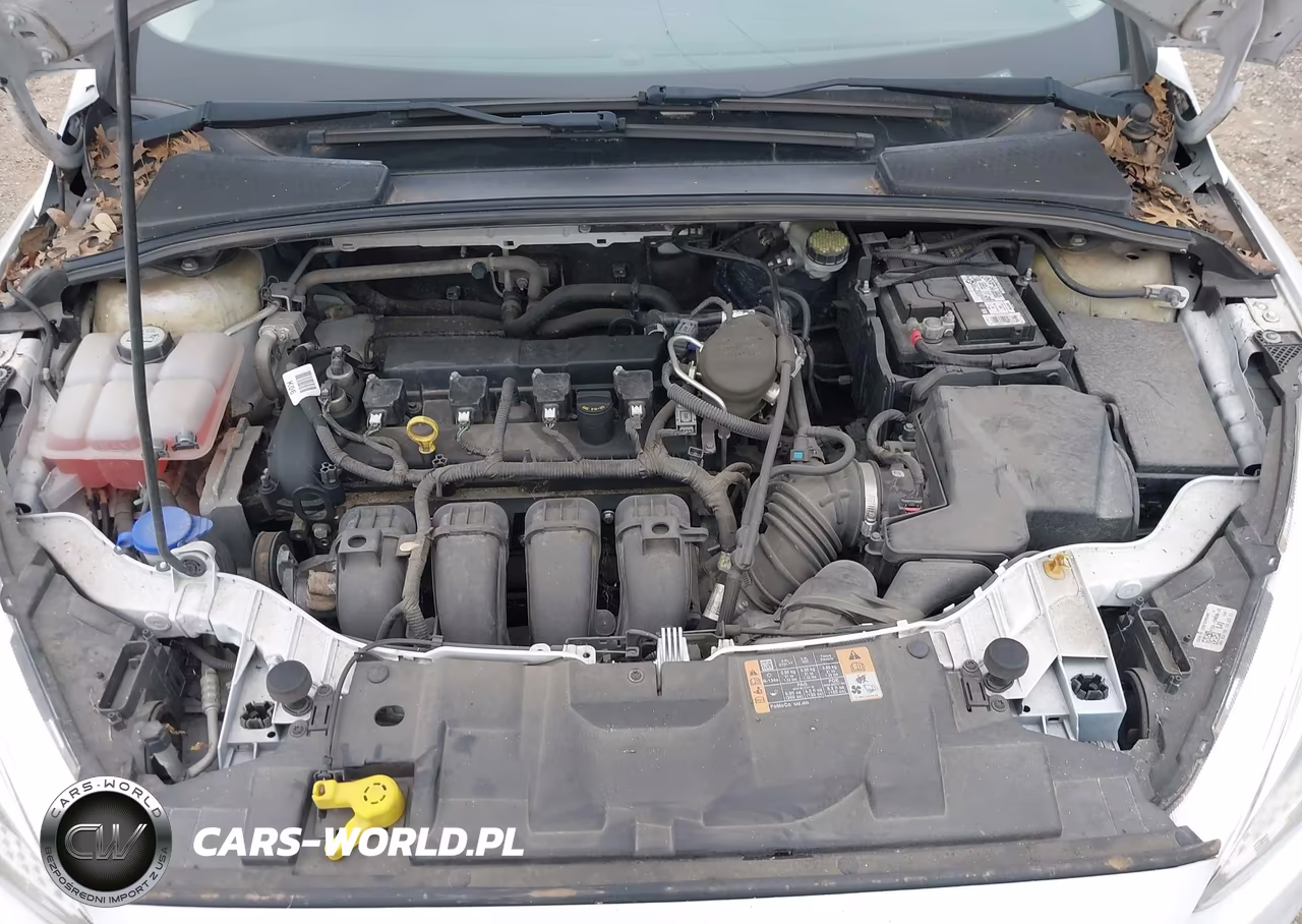 2015 Ford Focus Se VIN:1FADP3K24FL251436 - 10