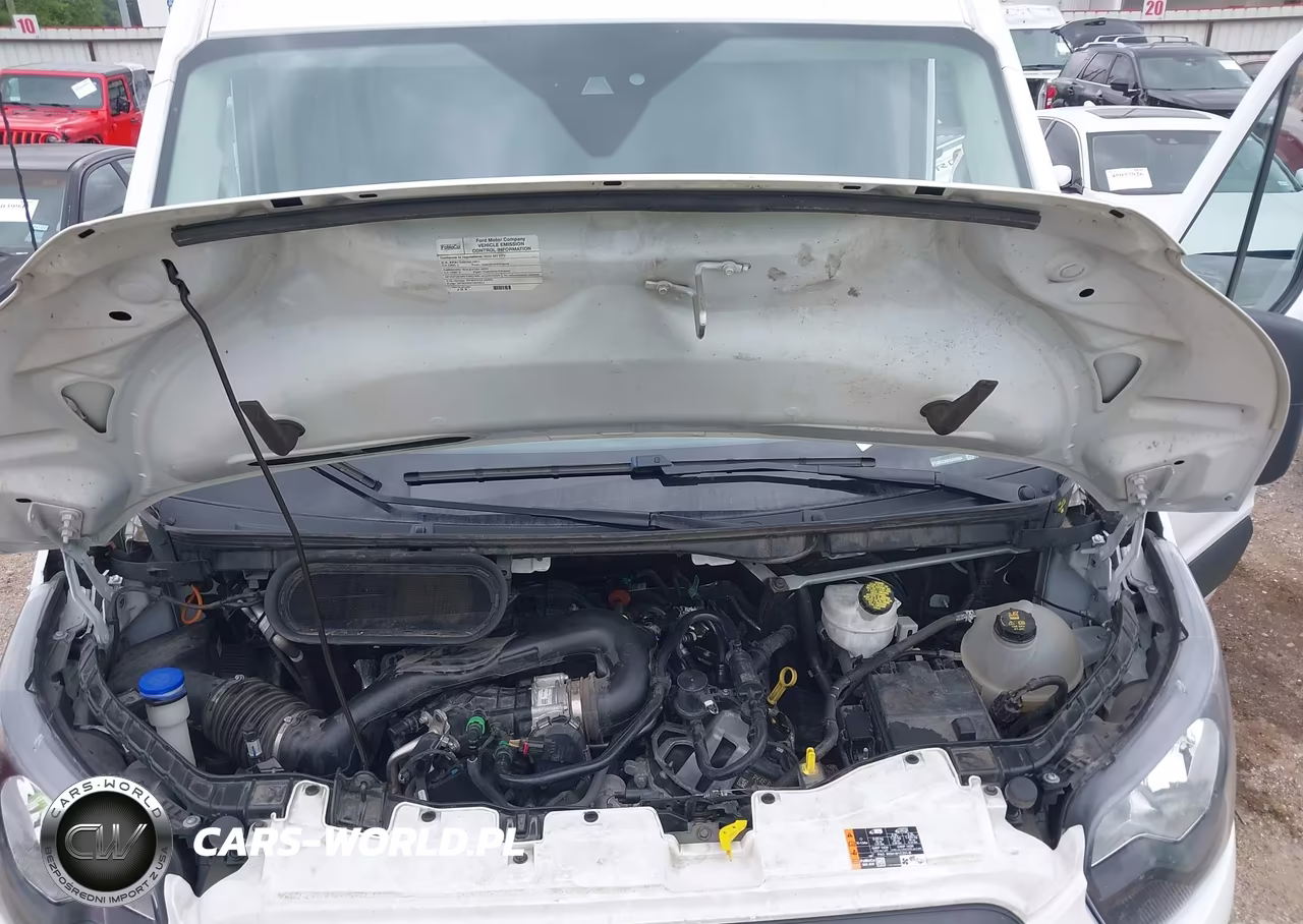 2024 Ford Transit-250 VIN:1FTBR1C89RKA94564 - 10
