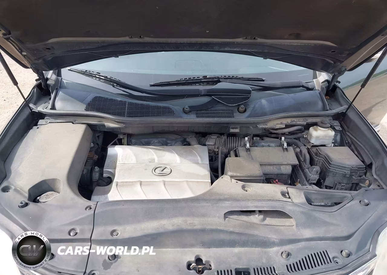 2010 Lexus Rx 350 VIN:2T2BK1BA0AC051127 - 10