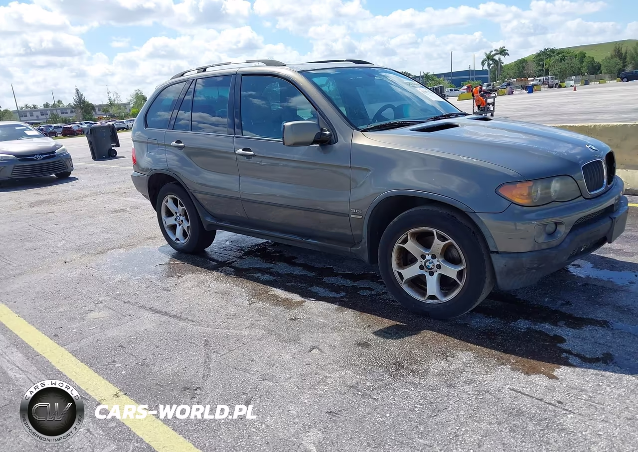 2006 BMW X5 3.0I