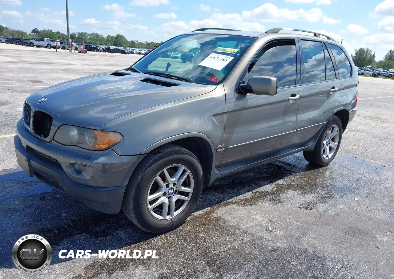 2006 BMW X5 3.0I VIN:5UXFA13526LY35107 - 2