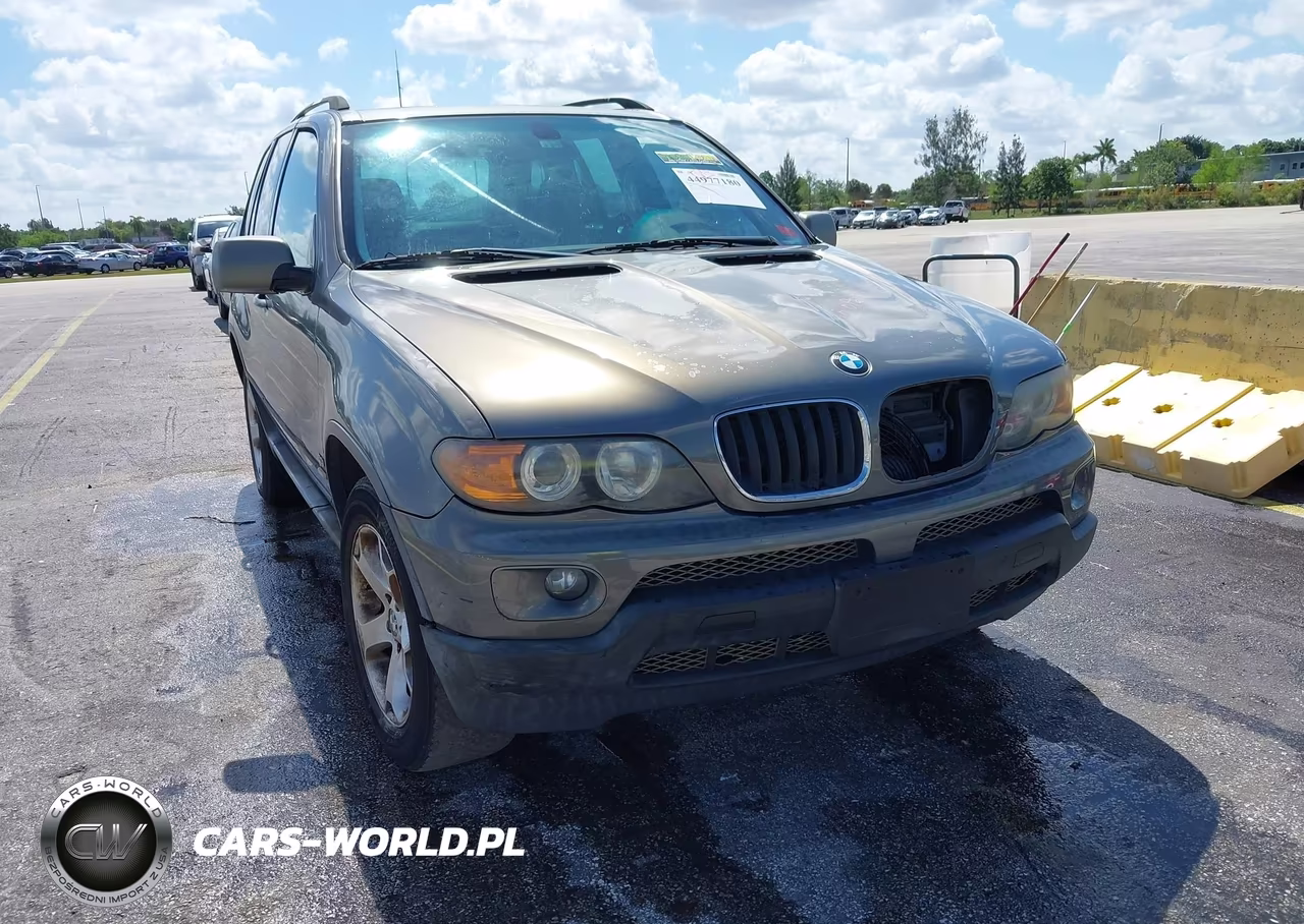 2006 BMW X5 3.0I VIN:5UXFA13526LY35107 - 6