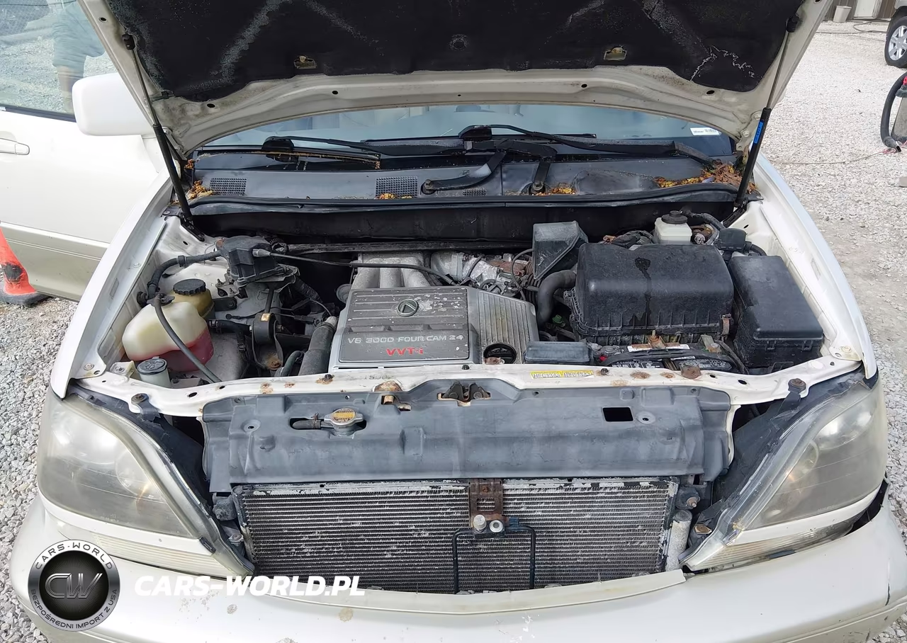 1999 Lexus Rx 300 VIN:JT6HF10U0X0038663 - 10