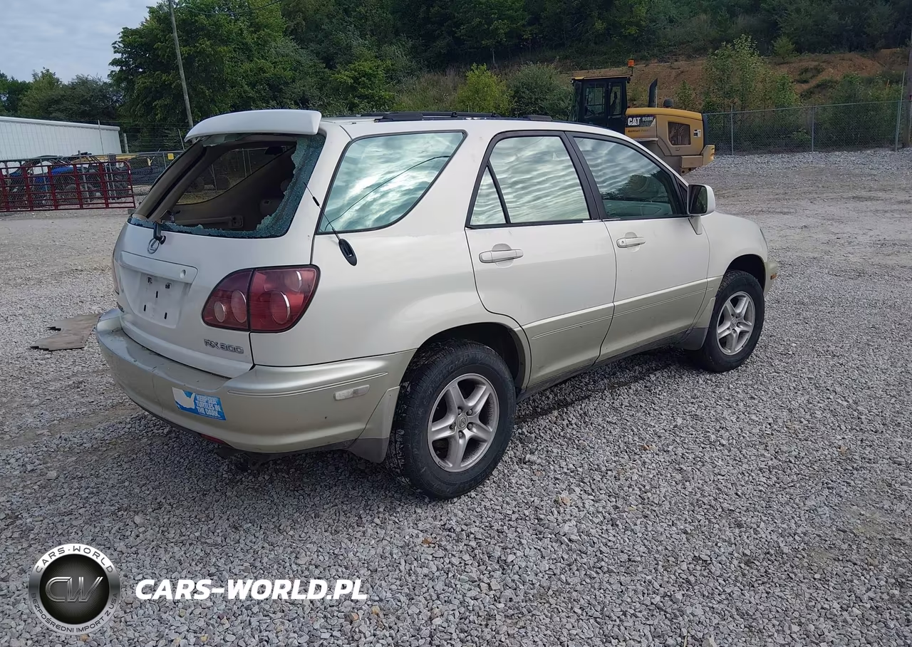 1999 Lexus Rx 300 VIN:JT6HF10U0X0038663 - 4