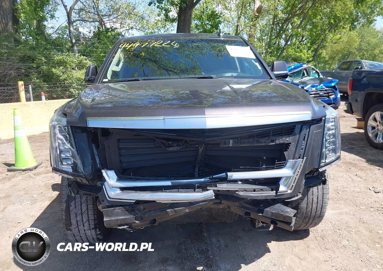 2017 Cadillac Escalade Esv Luxury VIN:1GYS4HKJ4HR140295 - 12