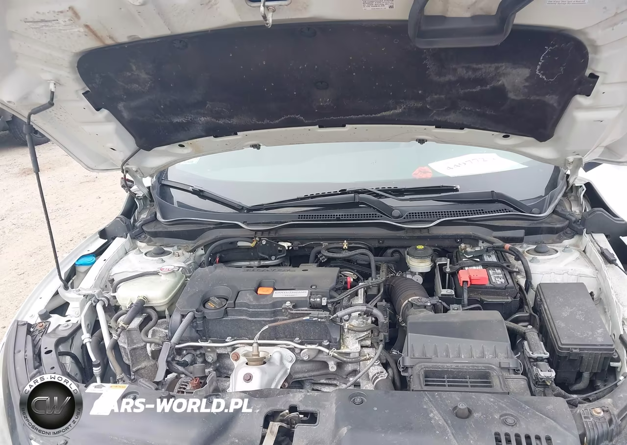 2019 Honda Civic Sport VIN:2HGFC2F89KH584019 - 10