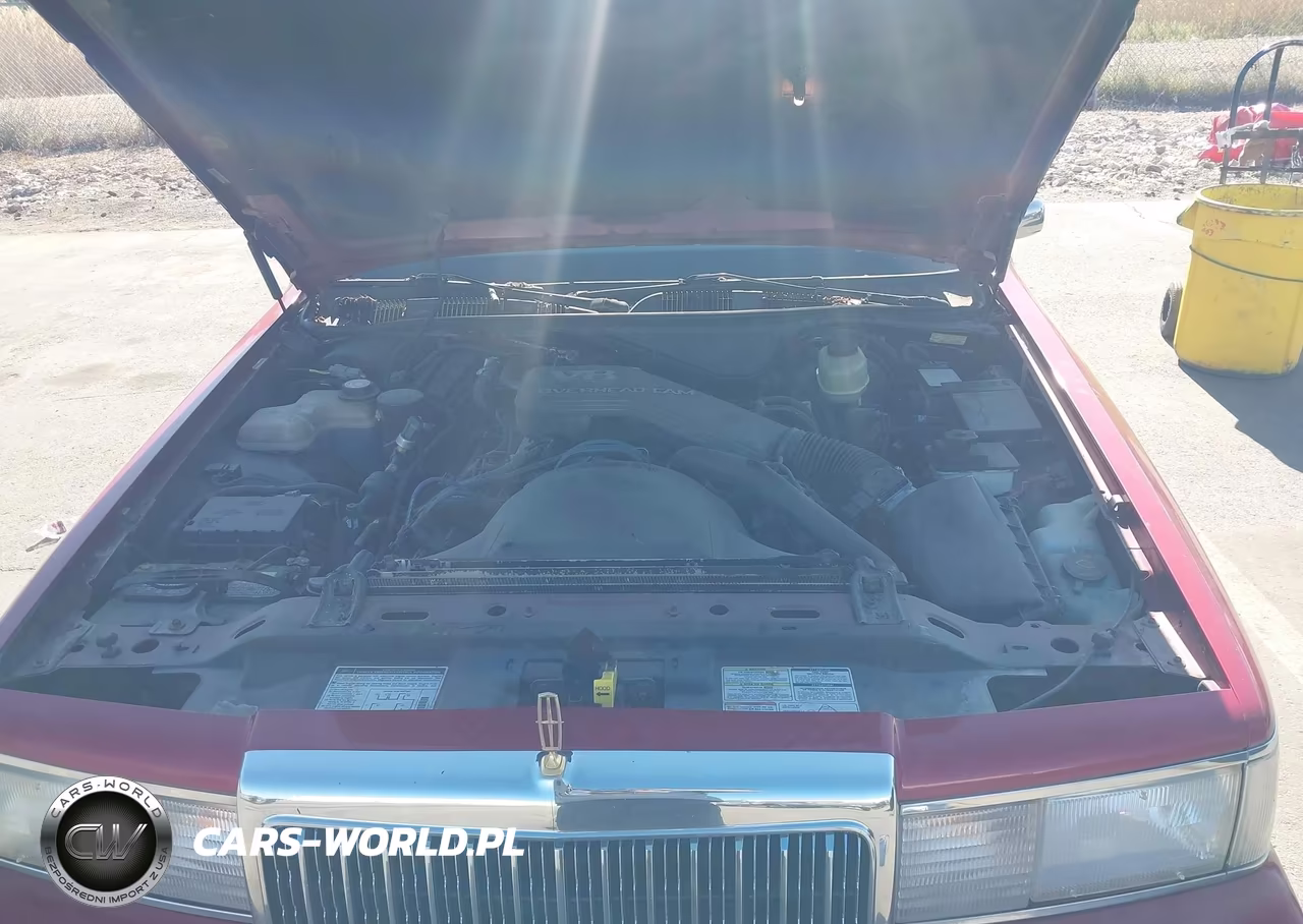 1994 Lincoln Town Car Executive VIN:1LNLM81W6RY729214 - 10