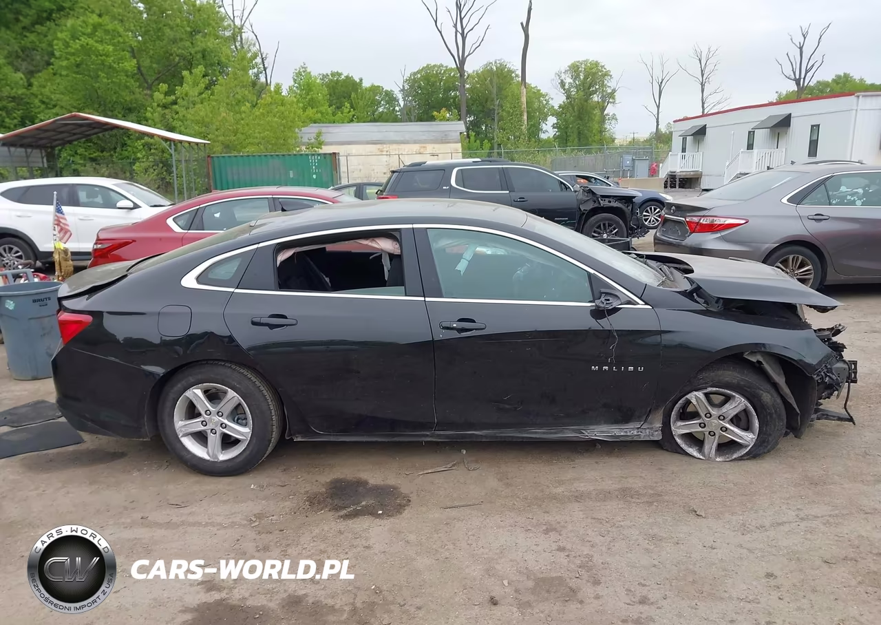 2023 Chevrolet Malibu Fwd 1Lt VIN:1G1ZD5ST6PF229878 - 12
