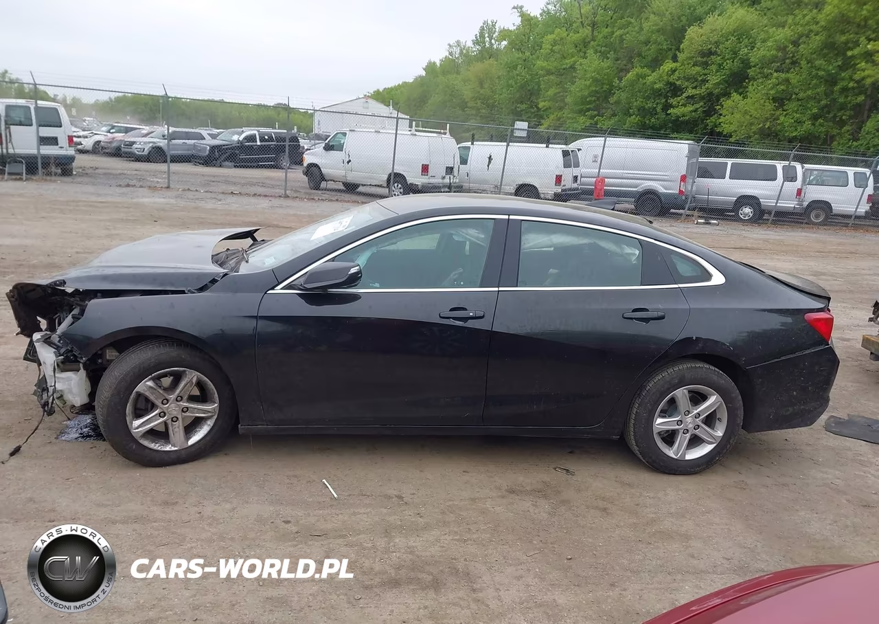 2023 Chevrolet Malibu Fwd 1Lt VIN:1G1ZD5ST6PF229878 - 13