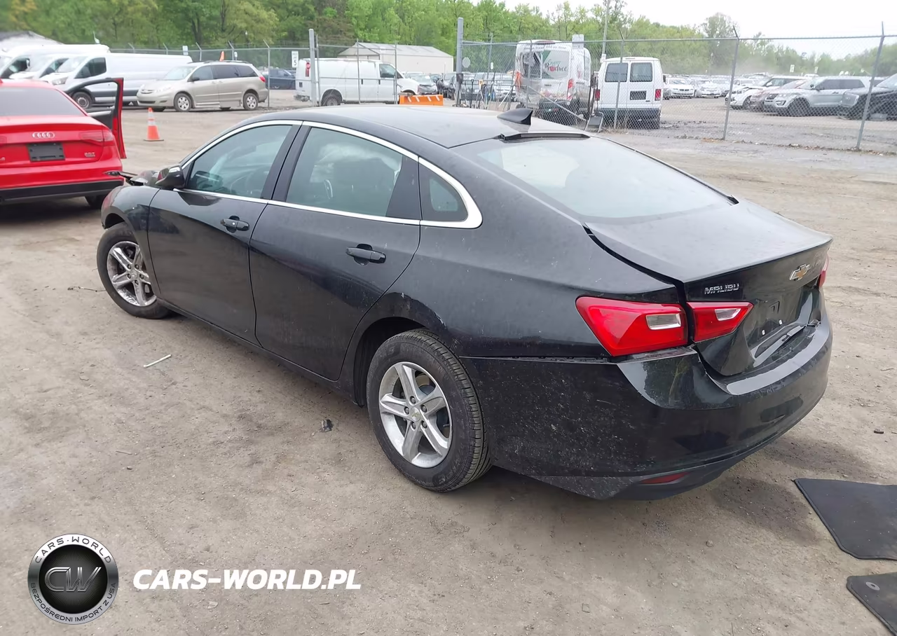 2023 Chevrolet Malibu Fwd 1Lt VIN:1G1ZD5ST6PF229878 - 3