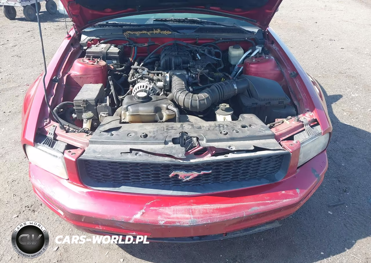 2007 Ford Mustang V6 Deluxe-V6 Premium VIN:1ZVFT84NX75278906 - 10