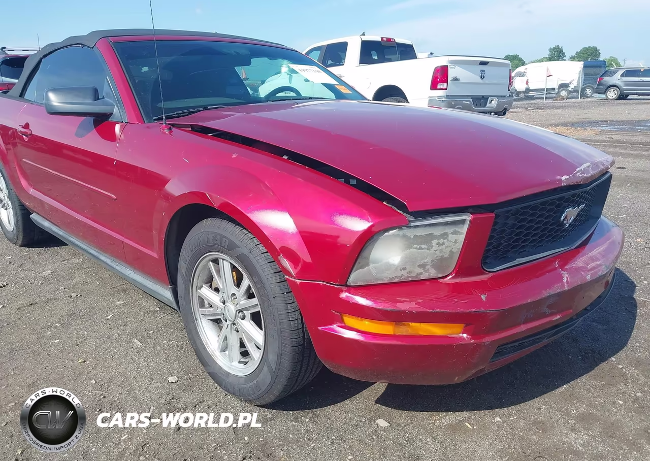 2007 Ford Mustang V6 Deluxe-V6 Premium VIN:1ZVFT84NX75278906 - 19
