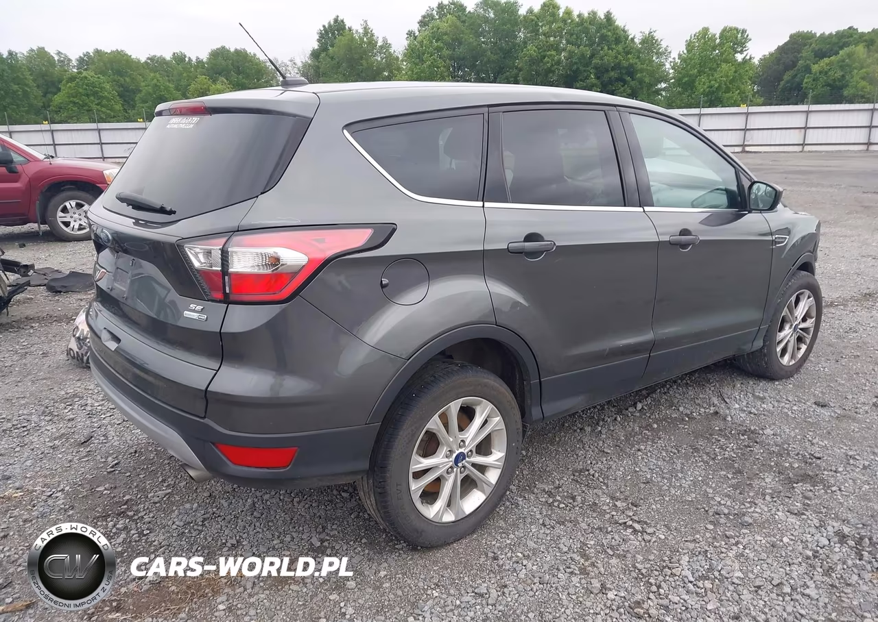 2017 Ford Escape Se VIN:1FMCU9G9XHUD45675 - 4