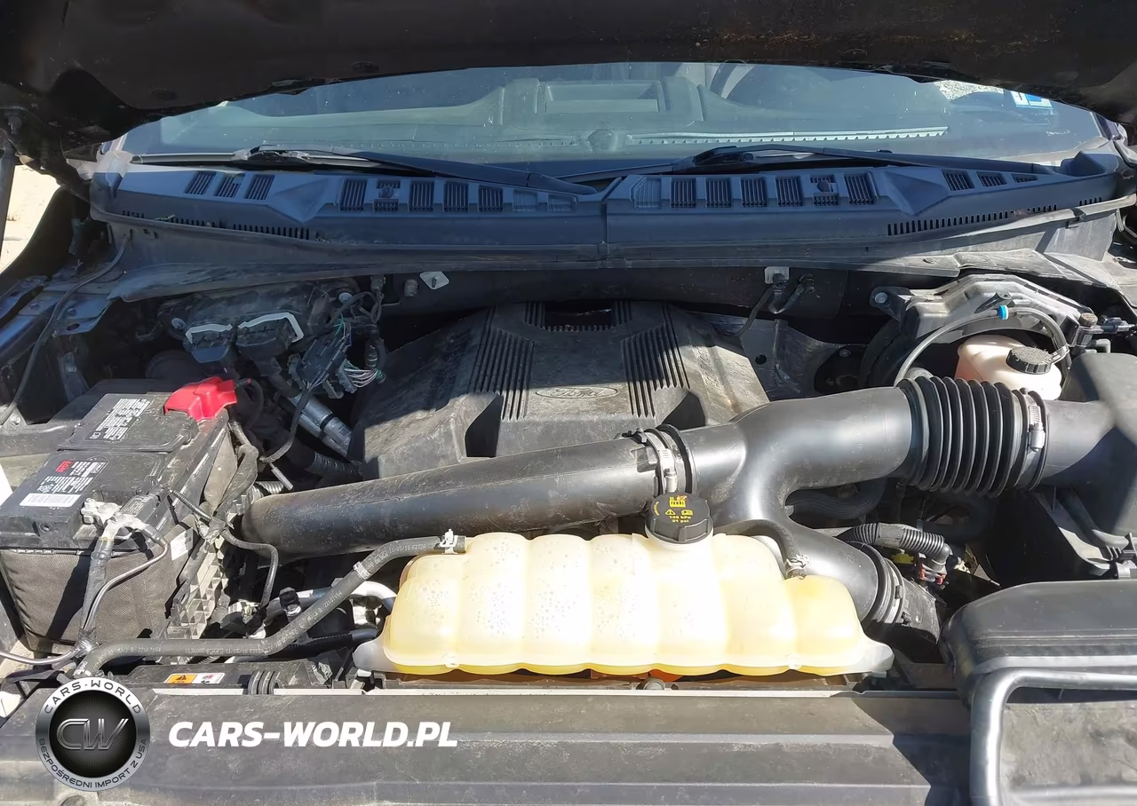 2019 Ford F-150 Xlt VIN:1FTFW1E48KFA30678 - 10