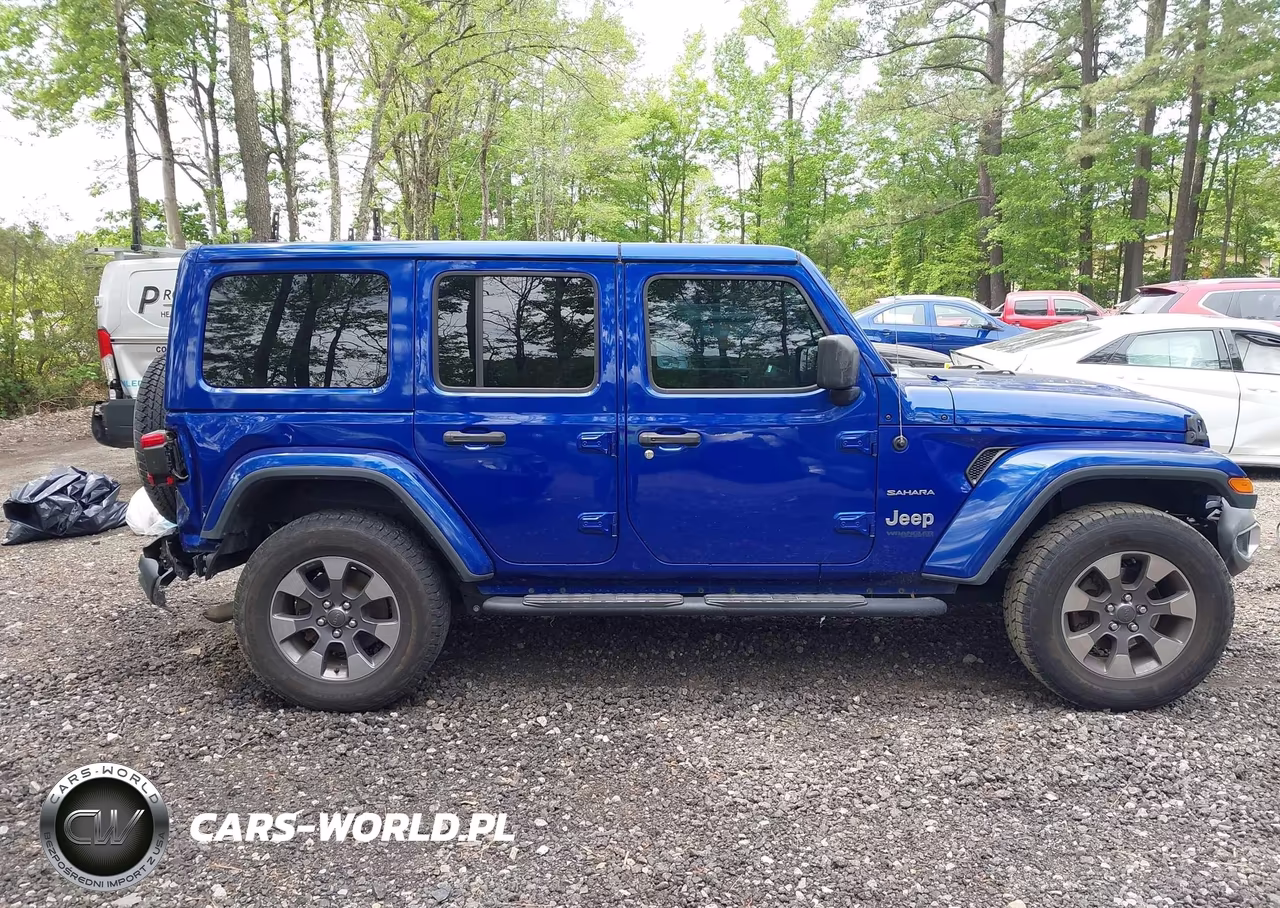 2019 Jeep Wrangler Unlimited Sahara 4X4 VIN:1C4HJXEN2KW506538 - 13