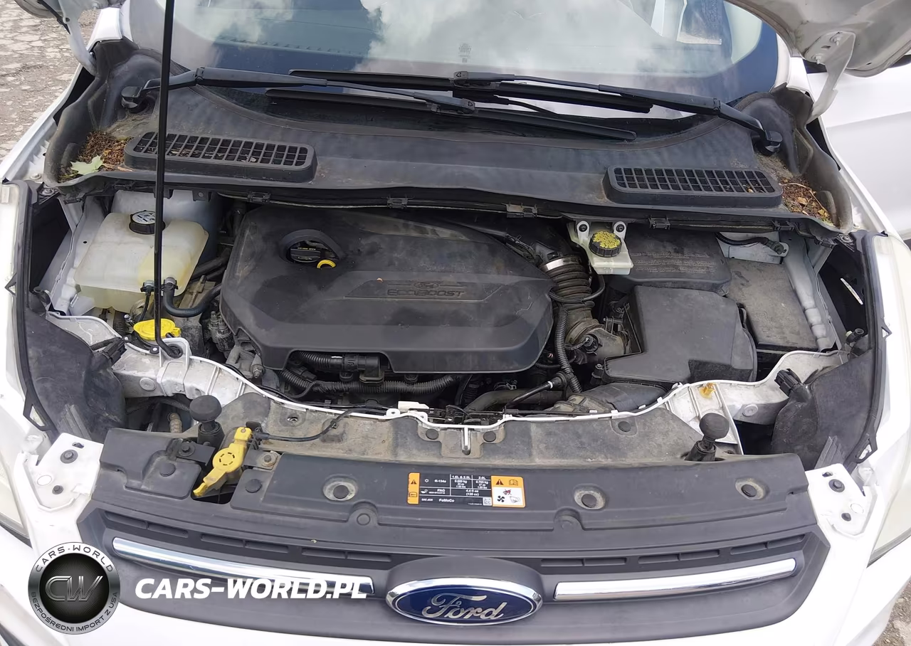 2014 Ford Escape Se VIN:1FMCU9GX6EUD73029 - 10