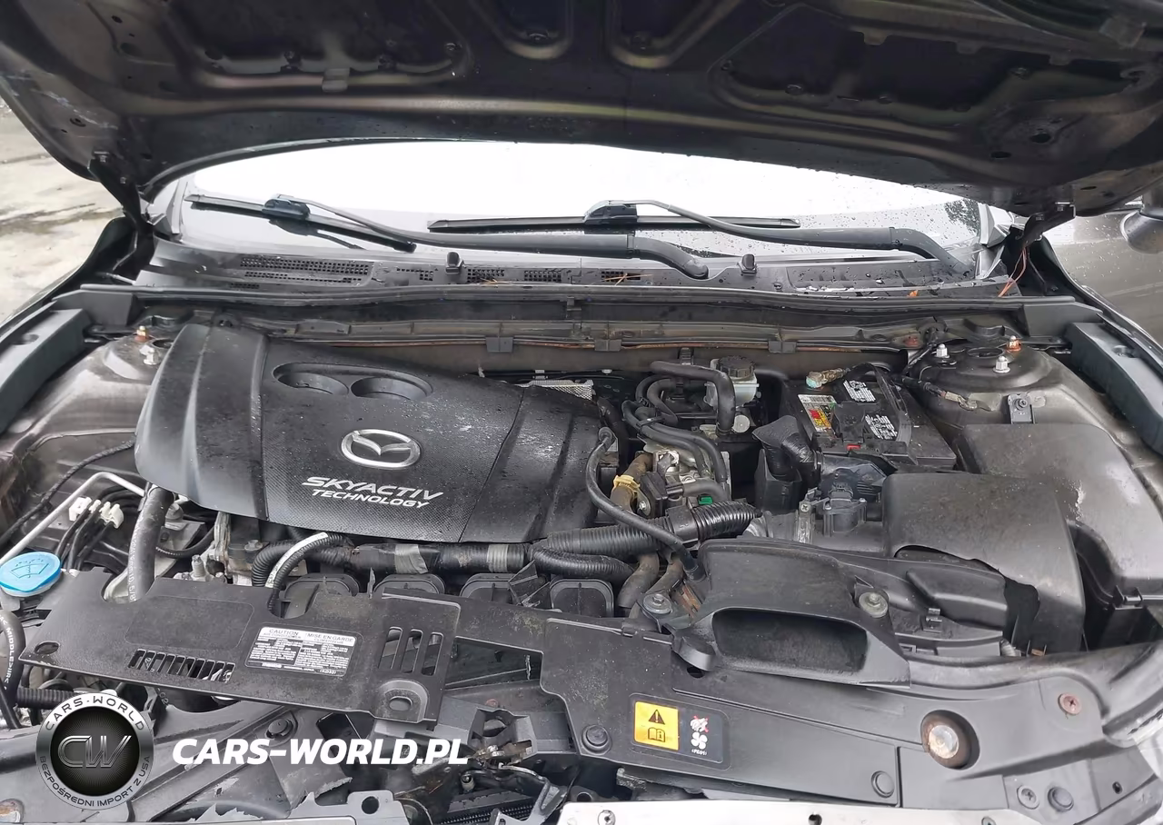 MAZDA MAZDA3 VIN:JM1BM1L74E1205088 - 10