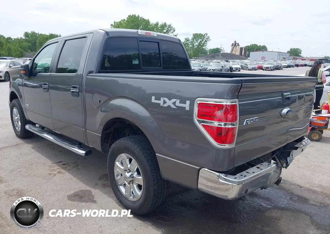 2014 Ford F-150 Xlt VIN:1FTFW1ET9EKD02285 - 3