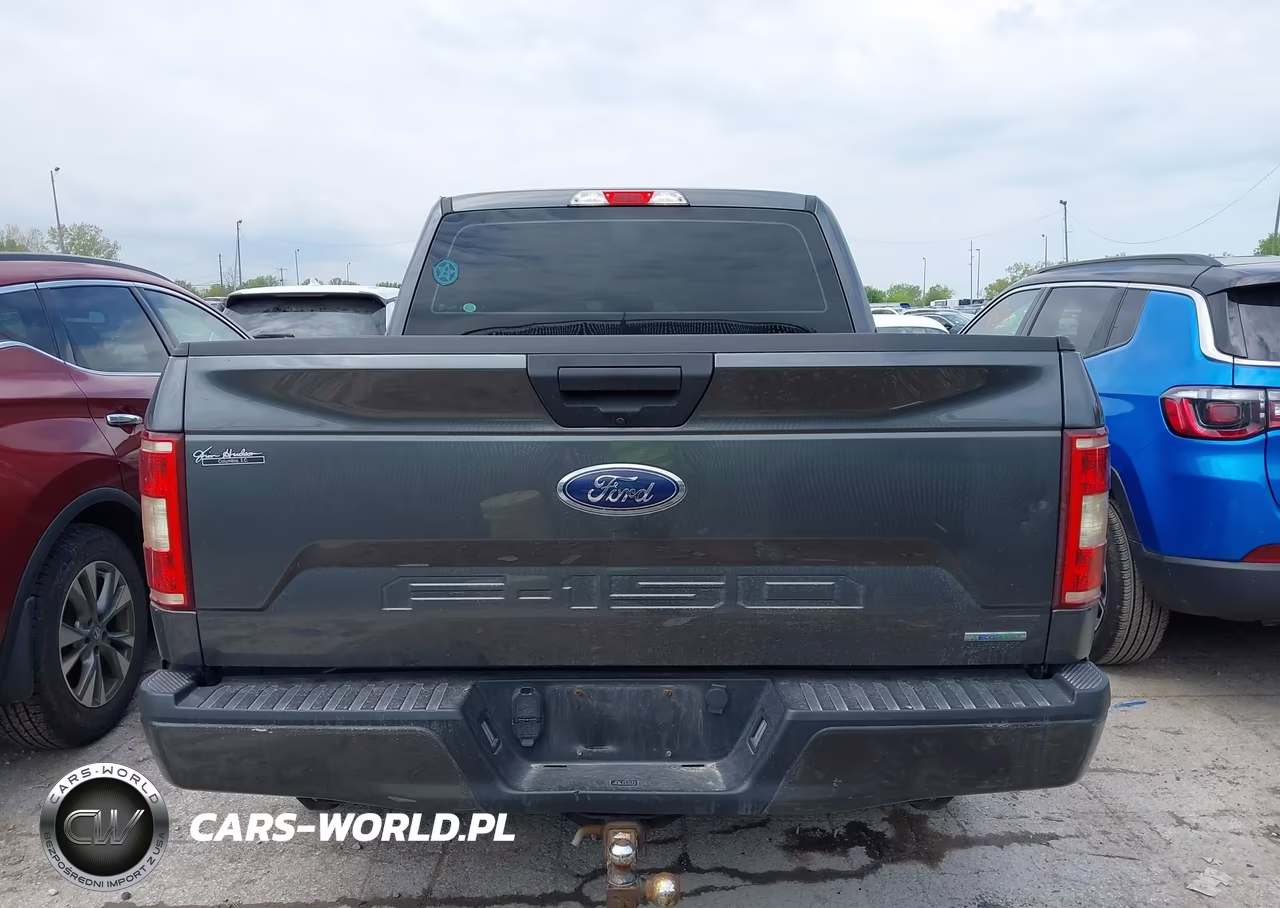 2020 Ford F-150 Xl VIN:1FTEW1CP4LFB84119 - 16