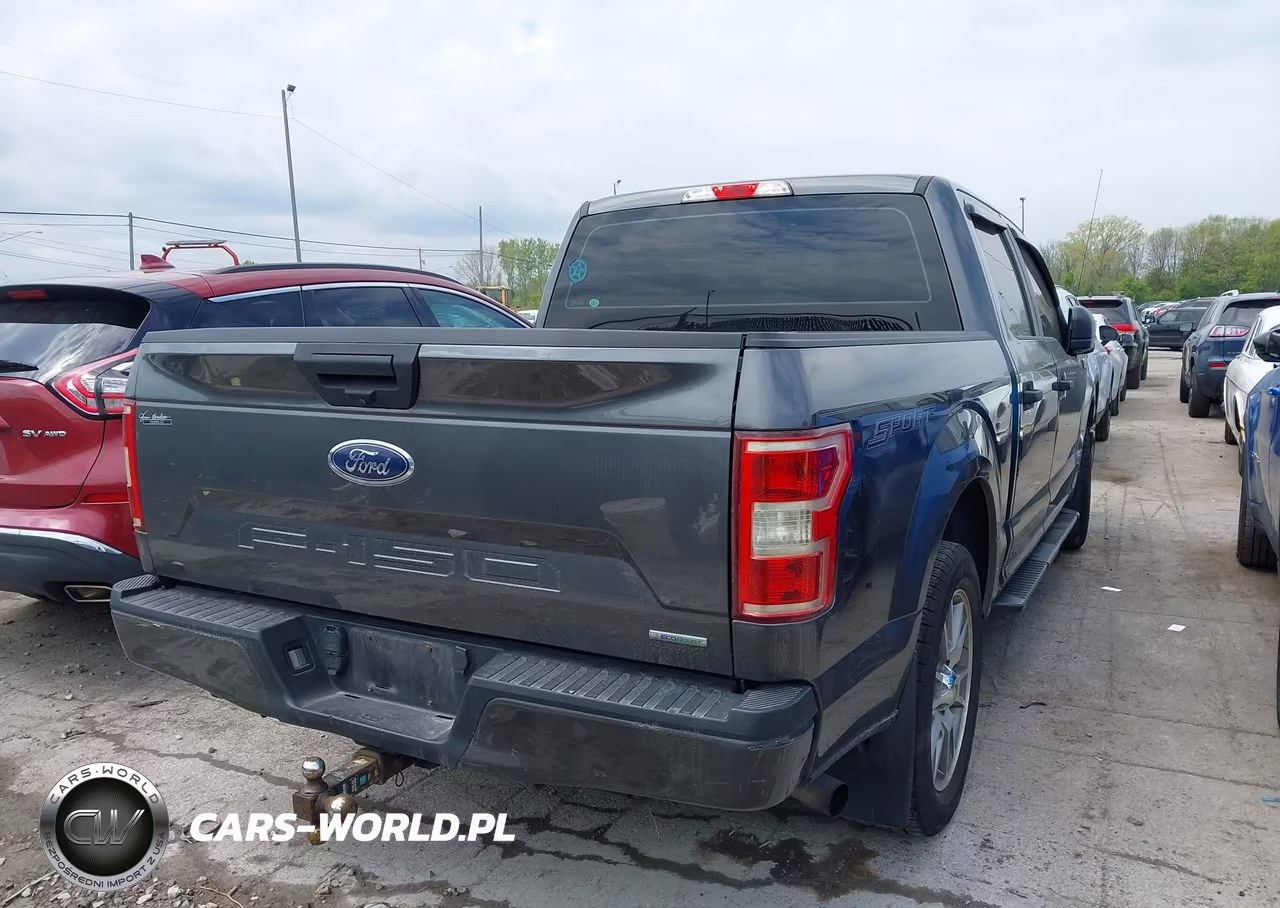 2020 Ford F-150 Xl VIN:1FTEW1CP4LFB84119 - 4