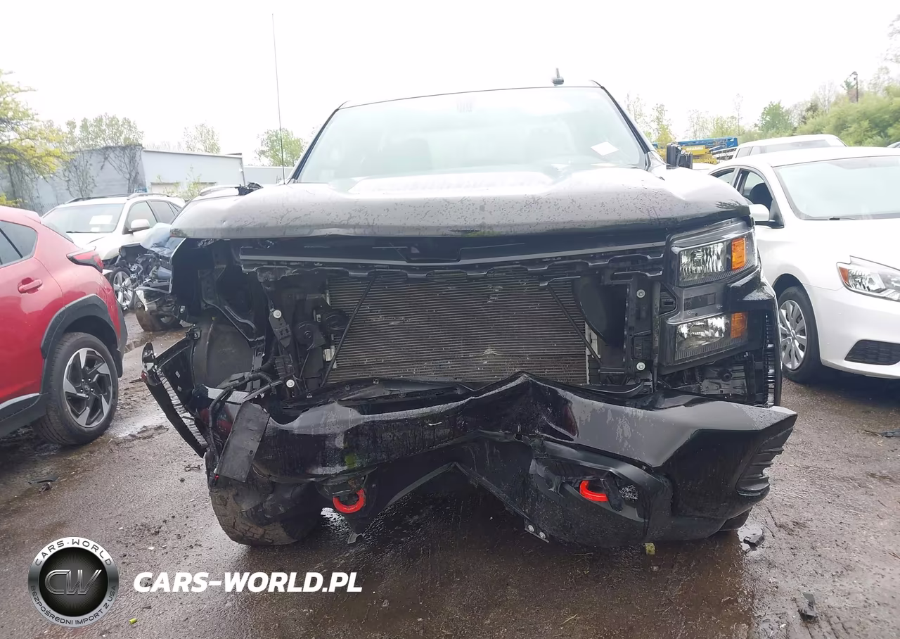 2020 Chevrolet Silverado 1500 4Wd Standard Bed Custom Trail Boss VIN:1GCRYCEH5LZ285150 - 13