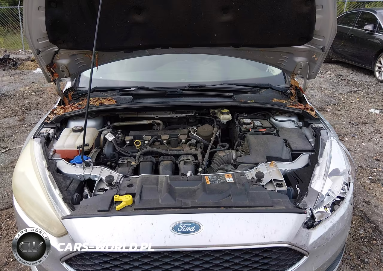 2017 Ford Focus Se VIN:1FADP3K29HL225191 - 10