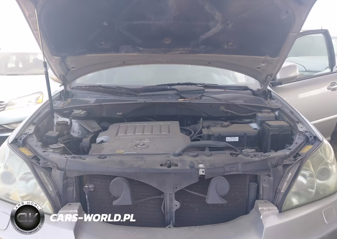 2007 Lexus Rx 350 VIN:JTJGK31U970006270 - 10