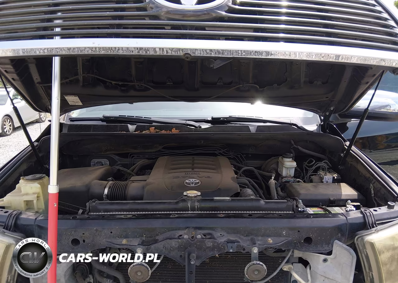 2013 Toyota Tundra Platinum 5.7L V8 VIN:5TFHW5F10DX295869 - 10