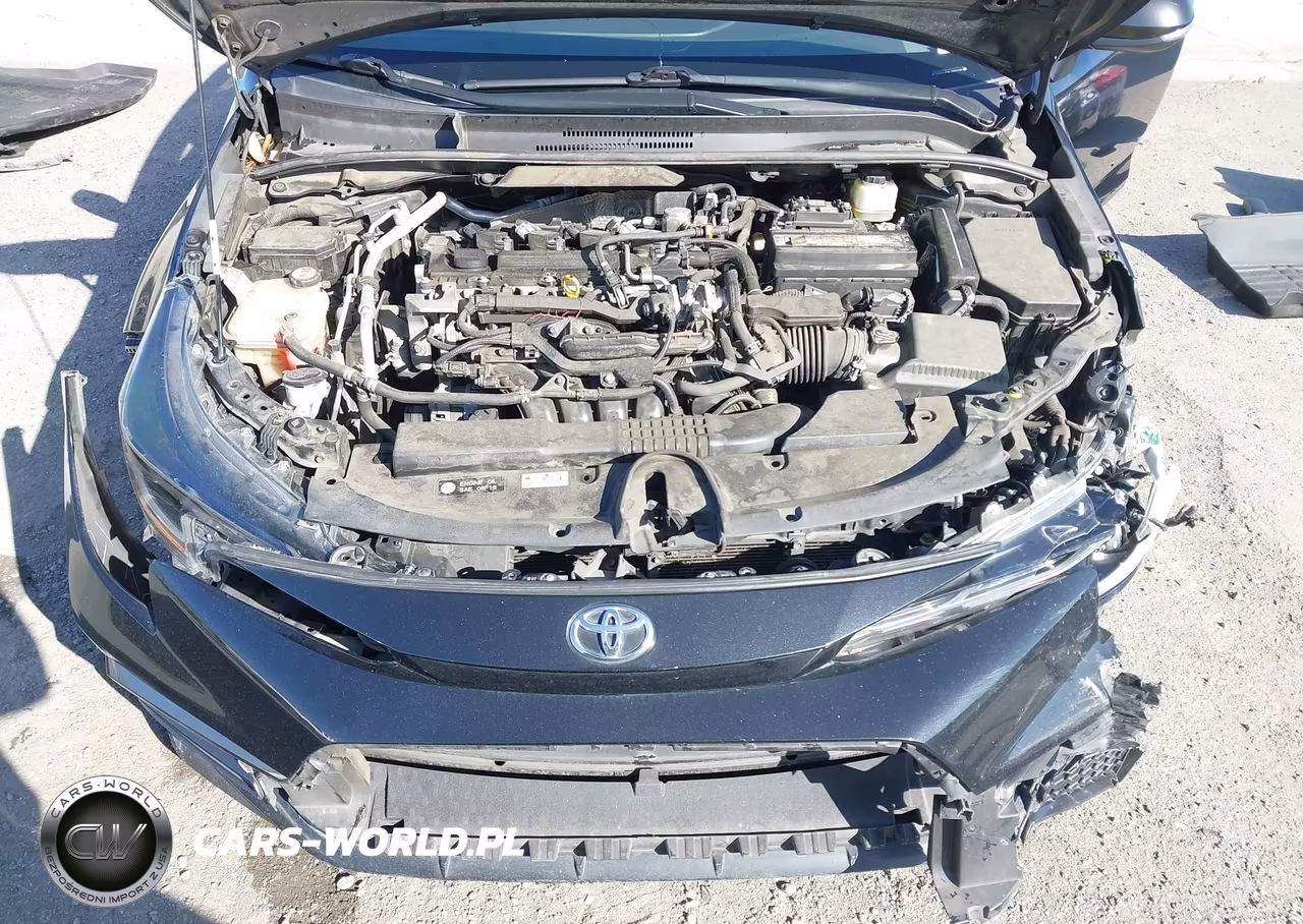 2020 Toyota Corolla Se VIN:JTDS4RCE4LJ032439 - 10