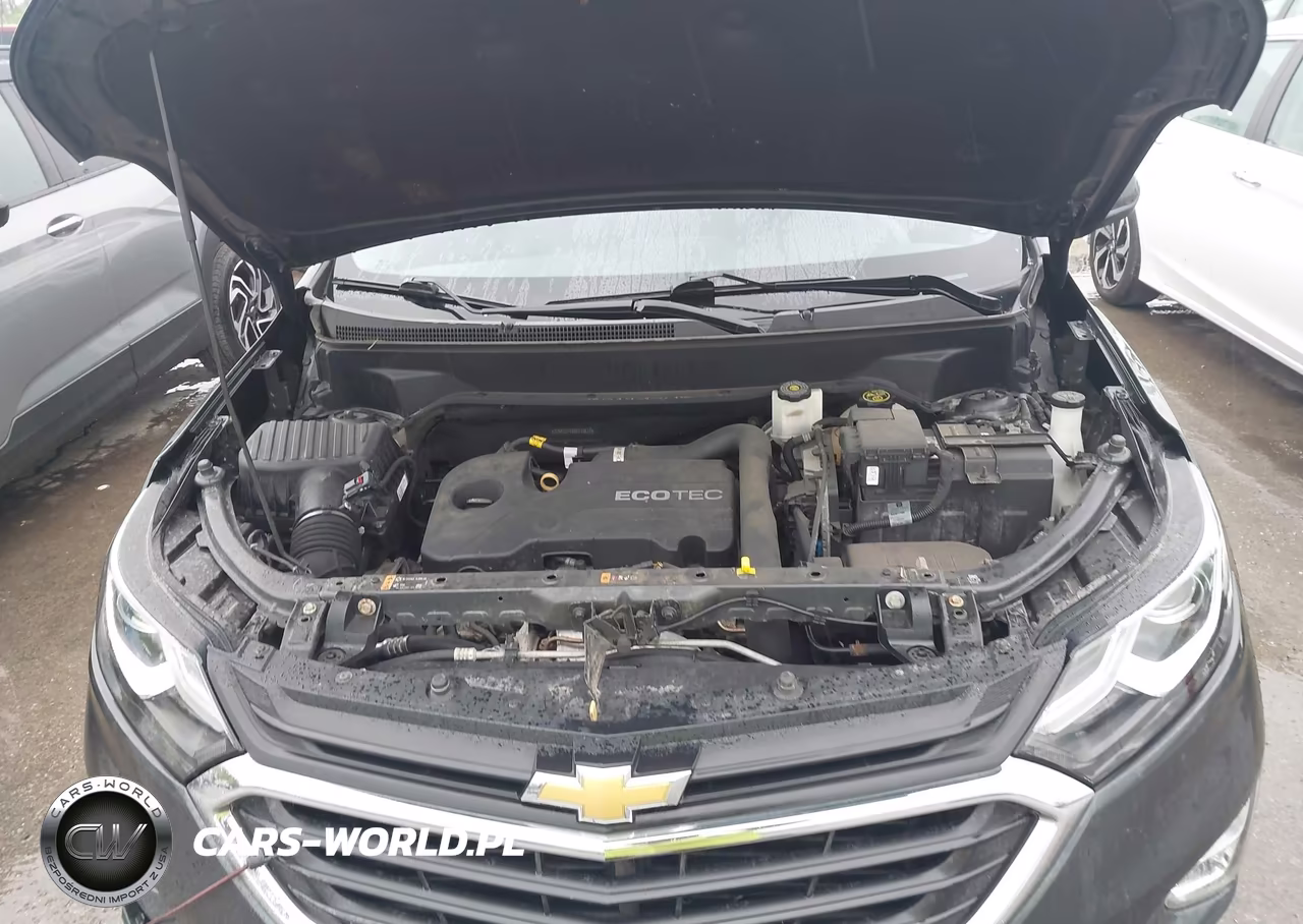 2019 Chevrolet Equinox Lt VIN:2GNAXUEV0K6270617 - 10