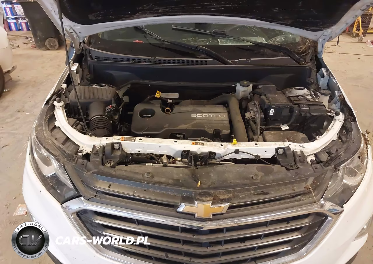 2019 Chevrolet Equinox Lt VIN:2GNAXKEV0K6179271 - 10
