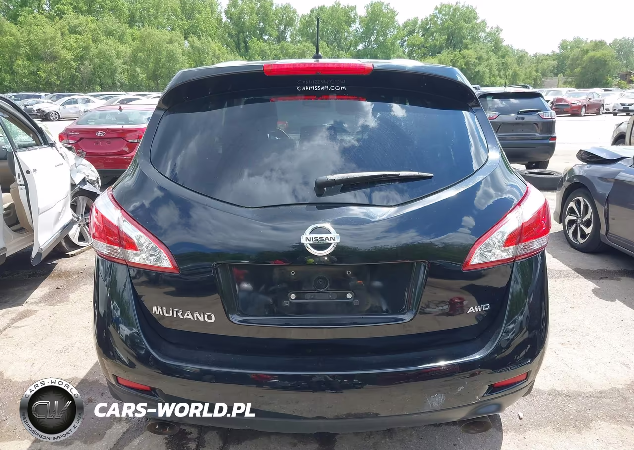 2013 Nissan Murano S VIN:JN8AZ1MW3DW314411 - 17